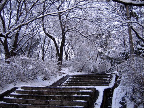 박제된 자연으로서의 공원. 자유공원도 공원입니다. 